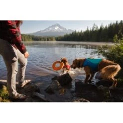 Ruffwear Hydro Plane™ Spielzeug M Orange 12 Ruffwear Hydro Plane™ Spielzeug M Orange -Hundebedarf 006b8682fcf44b40a786d55bd2f1d1cf7f91a7a7 1364300 de DE b9c71d828876a94633bfda1055d03e137f81043ehPprdP