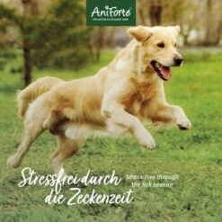 Aniforte Zecken Schild (35 Bis 50kg) Für Große Hunde 60 Kapseln 11 Aniforte Zecken Schild (35 Bis 50kg) Für Große Hunde 60 Kapseln -Hundebedarf 010a1fb0eff3b08c7c0fd6ddc69909abba0586dd 1444358 de DE 6b0465714e7043aa512f07a2e3a3c8a3a07d4c02oT8Ojy