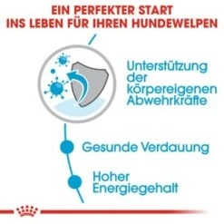 ROYAL CANIN Mini Puppy 12x85g -Hundebedarf 0139aa756ebbdb17303bb24d05f22551b5717639 43c28f850f95a929626cad956e56a118b365a753