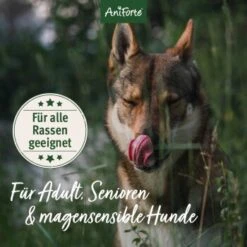 Aniforte Trockenfutter FreelandDuck - Leckere Ente Mit Hirse 2 Kg 10 Aniforte Trockenfutter FreelandDuck - Leckere Ente Mit Hirse 2 Kg -Hundebedarf 03c12eedba3985ee1134572c8becc3b62e64671b 1662324 de DE 633911faac3a9e48a06680ed5c3e6acdc44879d7RCWWhM