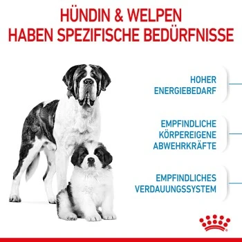 ROYAL CANIN Giant Starter 15kg 6 ROYAL CANIN Giant Starter 15kg – Bild 4