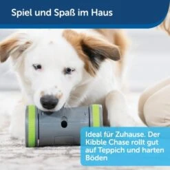 PetSafe Selbstbewegendes Belohnungsspielzeug Kibble Chase -Hundebedarf 04ee16df08a1d0058720c3c24edae0b380a4f40b 1418726 de DE 98f77b1c14ebd5f386fc2520d6b8f5d2f621874avKV76L