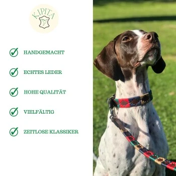 Kipita Polo Hundeleine Classic 8 Kipita Polo Hundeleine Classic – Bild 6