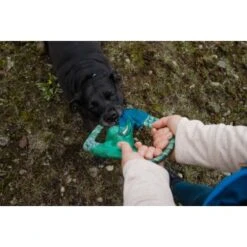 Ruffwear Pacific Ring™ Spielzeug Blau/ Türkis -Hundebedarf 07365c8c03348a7be23ff66a31807695c41eac94 1444351 de DE bb2133baab48cb1d262b89fa47f175638eb3f7fcb9JpcH