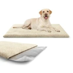 Knuffelwuff Kälteabweisende Und Wärmeisolierende Thermodecke Beige L 11 Knuffelwuff Kälteabweisende Und Wärmeisolierende Thermodecke Beige L -Hundebedarf 0d048450d3677bbe66ac815d46c1573d77ebc64b 1411793 de DE 26a54309e701e992732d9c1d25392889d55befc3ZZNFAK