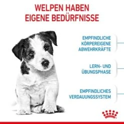 ROYAL CANIN Mini Puppy 8 Kg -Hundebedarf 0db85d35fb9500f3497c85c0c60f2b0e3011b6f5 3182550793049 4