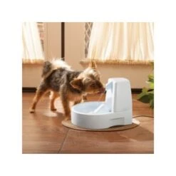 PetSafe Drinkwell Trinkbrunnen Original, 1,5 Liter -Hundebedarf 0eafb4742dba6833f9a27c15a06f970e4cd3a735 e5e9d8abdbe4501019d4b3506e15c02aeff7b01c