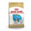 ROYAL CANIN Cavalier King Charles Puppy 1,5kg 1 ROYAL CANIN Cavalier King Charles Puppy 1,5kg -Hundebedarf 10b68cdbcd94e2e56d1a1adc244cef919ab91234 1082911 de DE rc1