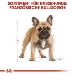 ROYAL CANIN Französische Bulldogge Adult 9 Kg -Hundebedarf 1103d82fc7346a11a9ee81a9ab4bdcb41136307d 6122fbb549b8e1d90a8dc5cfef9eb2854b87768f