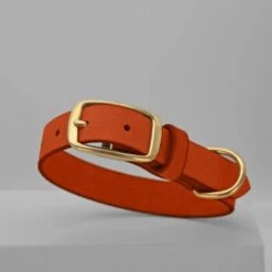 THE DOG IDEA Leder Halsband Orange M 9 THE DOG IDEA Leder Halsband Orange M -Hundebedarf 12b037fcd21444157e1d45a6d5fe2ee513fb1836 1674196 de DE 5978bd7e64f16150cd3183d9e93e99db73128fa2XPyfWy