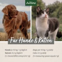 Aniforte Bierhefe Pulver 250 G -Hundebedarf 148c8581737f52de645b64e565c357c87d9112d4 1665877 de DE c14d44ee873d2fc6209ffead7d05d98c1f5e851baQgvTN