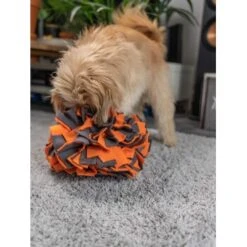 TrendPet Schnüffelball Orange -Hundebedarf 150c7485ceb45f446eae94d286af034396b6b839 1347789 de DE 0d959a3cb36067968769c2d102a66fcc1f59a724hVebVb
