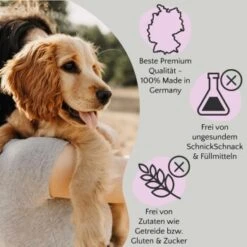 FAVLY Petfood FAVLY Probierpaket "Starter" 13 FAVLY Petfood FAVLY Probierpaket "Starter" -Hundebedarf 157f4277f4fc2e8da8d7a229372118c7271db7ef 1475313 de DE 1599c09ca60134efdb65d5d73f221243ffcd3c9a0x3zzL