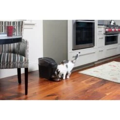 PetSafe Simply Feed Futterautomat -Hundebedarf 162adf6a7738d5bf21e1a8f543a00d8bc113bc69 1239482 de DE b44f850e1b411ed2fa4a4391f952beef1a1d7530wtxP0K