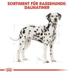 ROYAL CANIN Dalmatian Adult 12 Kg 12 ROYAL CANIN Dalmatian Adult 12 Kg -Hundebedarf 16920604f9e9dcfee0ee13501016f0ddf85e9f26 39f146ce4f54c8f5642f1cc5e2cf52b8543b913b