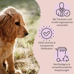 FAVLY Petfood Premium Naturkauartikel Rinderkopfhaut 750 G 7 FAVLY Petfood Premium Naturkauartikel Rinderkopfhaut 750 G -Hundebedarf 16b068451ff3df67cd4c996bc25d91fc297148e7 1473999 de DE a2c9f8d86d80fc90ca8f9c923a08051ec130ef8dA94Ri3