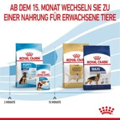 ROYAL CANIN Maxi Puppy 10x140g 12 ROYAL CANIN Maxi Puppy 10x140g -Hundebedarf 17d6a46cce4fc07e8a098006747b779e3adfee9e 3182550402163 7
