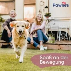 Pawlie's Gelenk Fit Tabletten Hund (100 Stück) -Hundebedarf 1c6a6429b71eab5415d0214c381f07051a1fc258 1626201 de DE fc246e46dc05978124c2e49ef6a7667224e432edKNFNet