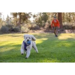 Ruffwear Huckama™ Spielzeug Violett -Hundebedarf 1e25287ed59c30d76e9b799ca71232e607c6932b 1639706 de DE 4cde75bd4ef04e9f936b40473471e71f69a39443R9gkOp