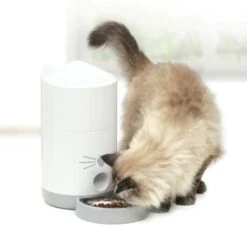 Catit Pixi Smart Futterautomat -Hundebedarf 1ffeee179884642eea5a2e9de8131d7805514020 e5c666843aea1e8ddb7fde2d8de9aefc2995717e