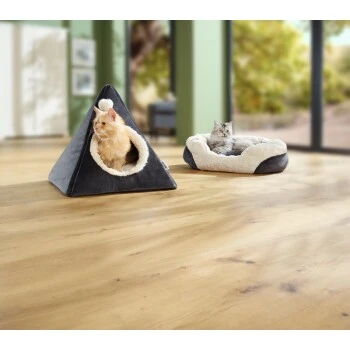 AniOne Liegeplatz Luna 6 AniOne Liegeplatz Luna – Bild 4