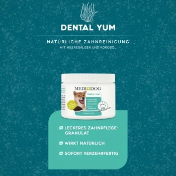 MediDog Dental Yum 6 MediDog Dental Yum – Bild 4