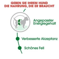 ROYAL CANIN Mini Adult 8 Kg -Hundebedarf 21a75e18dd1e934195f6d0b5ad84a9570a91191d c720d53d881e68ef8e0f57239191ef1e7e47842d