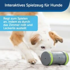 PetSafe Selbstbewegendes Belohnungsspielzeug Kibble Chase -Hundebedarf 232030f86f814de36b46e922b9019b2a80aa0a4a 1418726 de DE cabfebb8ef64f9f8a7009d6c5080cb046558ff00b0jRo2