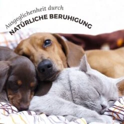 Aniforte Bachblüten Protest -Hundebedarf 2588226ebcbbd40f01b907ef368da65b2a00ff55 1480465 de DE 3ebd76937caa06852ee58c852a369637b3a50c858P4hCz