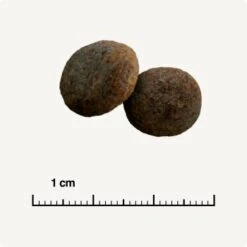 SELECT GOLD Sensitive Maxi Junior Lamm/Lachs/Kartoffel 4 Kg 14 SELECT GOLD Sensitive Maxi Junior Lamm/Lachs/Kartoffel 4 Kg -Hundebedarf 28af395c49e943aa9ab48faf021ceebb2dad145e 1001718003 de DE 6