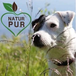 Fit-Crock Classic Lamm Mini 9 Fit-Crock Classic Lamm Mini -Hundebedarf 294d1cda825d170943465cbb0a88ea0e74afc0d0 1687100 de DE 5576b019e140574c03da26f1354a1c04162c365aPCJVe0