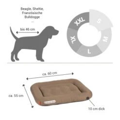 Doctor Bark Lounge-Kissen Sandbraun S 11 Doctor Bark Lounge-Kissen Sandbraun S -Hundebedarf 2963b4baccec4fc858c8f95f66d3e8f46911bb05 1399026 de DE 90717154e6dd58a4c9c25001e3740a44ceb4b2abm9hHjz
