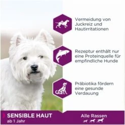 EUKANUBA Daily Care Sensible Haut 12 Kg -Hundebedarf 2ac8b12e9bbcd9f97aaad7e0b275ab1a12aadd10 9080130ab11389ec72354c5ef3b9e725118015a6