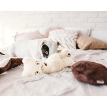 Freudentier Nachhaltiges Hundespielzeug Daniel 4 Freudentier Nachhaltiges Hundespielzeug Daniel â Bild 2