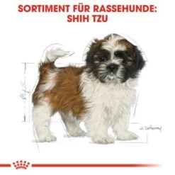 ROYAL CANIN Shih Tzu Puppy 1,5kg 14 ROYAL CANIN Shih Tzu Puppy 1,5kg -Hundebedarf 2dd674b0c9faf144189925427954057c94e96824 cfea993775d63322f217c5a694273fde764bdafe