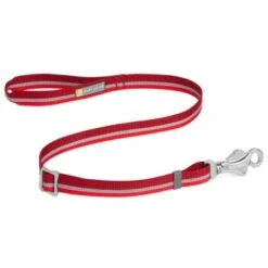 Ruffwear Patroller™ Leine