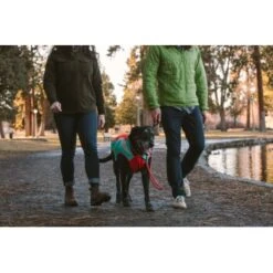 Ruffwear Just-a-Cinch™ Leine Rot 20 Ruffwear Just-a-Cinch™ Leine Rot -Hundebedarf 303852545543aedc9a714a3496506b640ceae72a 1651622 de DE 9ed12edf7d3873a735529877997e2bb507e71779PTzMwn