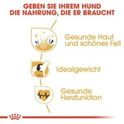 ROYAL CANIN Cocker Adult 12 Kg -Hundebedarf 3134822eaac43dc61f1f6efc8f5aab330e7b06ad 6f556a24463fe429dab74ecc4fdcc054850746a6