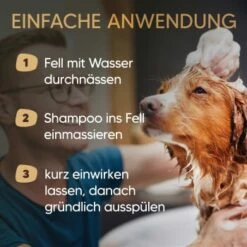 Pawlie's Hundeshampoo Für Langhaar -Hundebedarf 31fb70412552456c4a02729fa462588fcf0d4e5b 1626203 de DE 25d5ddf898b492fba858f49f2f6f7a8a36500b93qNDG8c