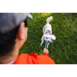 Ruffwear Gourdo™ Spielzeug S Grün 11 Ruffwear Gourdo™ Spielzeug S Grün -Hundebedarf 340d5a3cda4bb7c7215d03f2d69aea1fb532027d 1639795 de DE dcb292407c796db89093f35e704145b6700aa2deFjWC0G