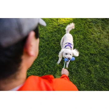 Ruffwear Gourdo™ Spielzeug S Grün 6 Ruffwear Gourdo™ Spielzeug S Grün – Bild 4