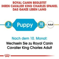 ROYAL CANIN Cavalier King Charles Puppy 1,5kg -Hundebedarf 351d8967b79c2aa3220f439f5defd257f044c875 ae6b47d46558763e00a21f55c8e88bb0aea3a17d