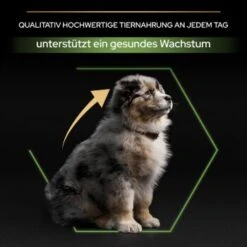 PRO PLAN Optistart Medium Puppy 3 Kg -Hundebedarf 358956cabb2065dd27e04a71eb360b94911ed0da 1206411 6