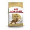 ROYAL CANIN Cocker Adult 12 Kg -Hundebedarf 35b692965af79cafa0db2d2124d40d0740ee8bc1 1061209 de DE RCneu