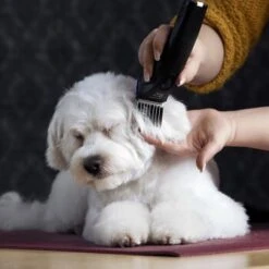 Moser Schermaschine Arco Pro 19 Moser Schermaschine Arco Pro -Hundebedarf 365e29754c538dcc259069da0cc9793e69d0b654 8ffdd5bc19f3a136ec865d6030d040722a7ad1c3