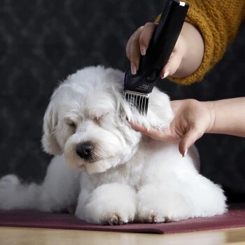 Moser Schermaschine Arco Pro 9 Moser Schermaschine Arco Pro – Bild 7