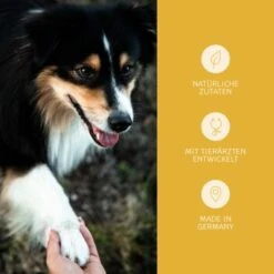 Mammaly Immu Push 110g -Hundebedarf 38b7917670f59d2a88ff5d6635a04535121b1ee9 1472893 5