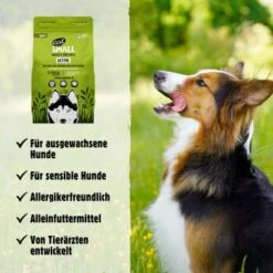 Eat Small EatSmall 3x2kg Maxi Active Trockenfutter -Hundebedarf 38d0eee352365acc65aba56f679abf579d3ed634 1492081 de DE 045556f8e417da90be61f538db133a32cf0ddbab3BXH7t
