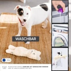 Freudentier Nachhaltiges Hundespielzeug Daniel 11 Freudentier Nachhaltiges Hundespielzeug Daniel -Hundebedarf 399eb762da5db839e1d54b11a980f1adc24ffa3a 1408970 de DE 4fae29de579b316485a3de702f2c6d8ee3ac7b4f8TlZcj