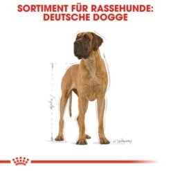 ROYAL CANIN Deutsche Dogge Adult 12 Kg 13 ROYAL CANIN Deutsche Dogge Adult 12 Kg -Hundebedarf 3b2e2b76f77a85e7a2e2e3760f4acf201582be79 91fbd3cfc727b41692ded4aa1c29adb0f8bf3146